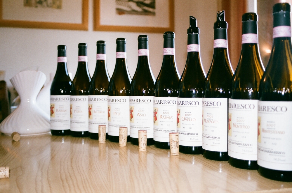 the Cru Barbaresco of Produttori dei Barbaresco, Piemonte. Italy